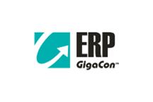 X Konferencja ERP GigaCon 2012