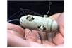 Miniaturowy robot skaczący zlokalizuje źródło skażenia