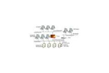 OPC Foundation adoptuje Express Interface OPC Xi OPC Foundation adoptuje Express Interface OPC Xi