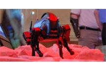 DARPA posyła trzy kolejne roboty w bój DARPA posyła trzy kolejne roboty w bój