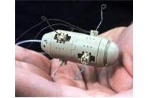 Miniaturowy robot skaczący zlokalizuje źródło skażenia Miniaturowy robot skaczący zlokalizuje źródło skażenia