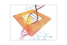 Nowe standardy w technologii RFID Nowe standardy w technologii RFID