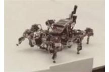 Robot sam dopasuje najodpowiedniejszy chód Robot sam dopasuje najodpowiedniejszy chód
