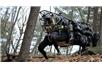Google kupiło Boston Dynamics