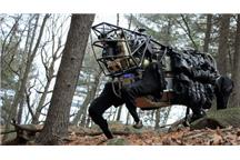 Google kupiło Boston Dynamics Google kupiło Boston Dynamics