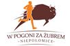 W pogoni za Żubrem