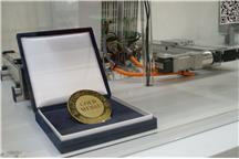 Złoty Medal Automaticon 2014.jpg