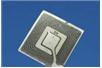 Jadalne „etykiety” RFID