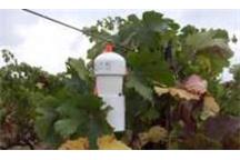 Grape Networks szykuje się do podboju europejskich winnic Grape Networks szykuje się do podboju europejskich winnic