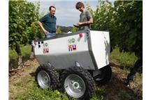 Robot pomocny przy zbiorze winogron Robot pomocny przy zbiorze winogron