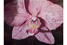 Orchidea poprawi komunikację człowiek komputer Orchidea poprawi komunikację człowiek komputer