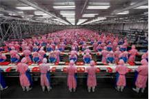 Producenci wybierają Chiny Producenci wybierają Chiny