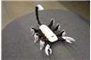 Nietypowy Hexapod
