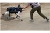 Google pozbywa się Boston Dynamics
