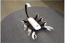 Nietypowy Hexapod