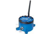 Wzzard Bluetooth Edge Nodes