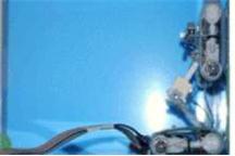 Robot gekon [video]