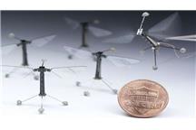 RoboBee ujarzmia elektrostatykę