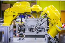 Robot FANUC model M1iA