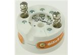 GiXo2 - Guenther GiXo2 GiXo2 - Guenther GiXo2