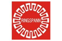 Sprzęgła Przeciążeniowe Ringspann
